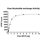 Kras Q61K Nucleotide Exchange Assay Kit
